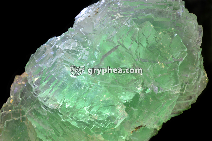 Fluorite verte - gryphea.com